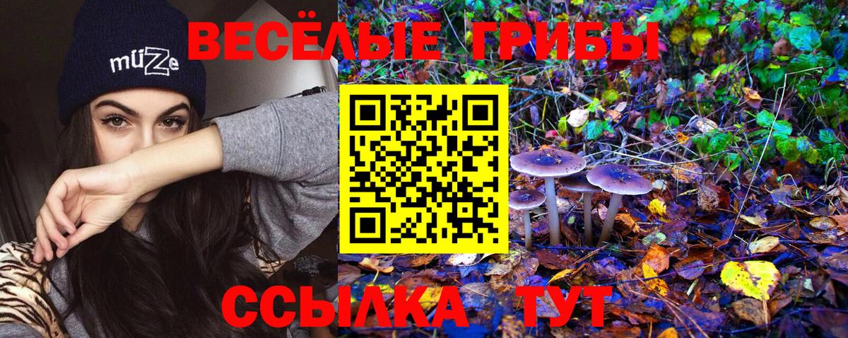Псилоцибиновые грибы мицелий  купить   Солнечногорск  Вход с VPN 