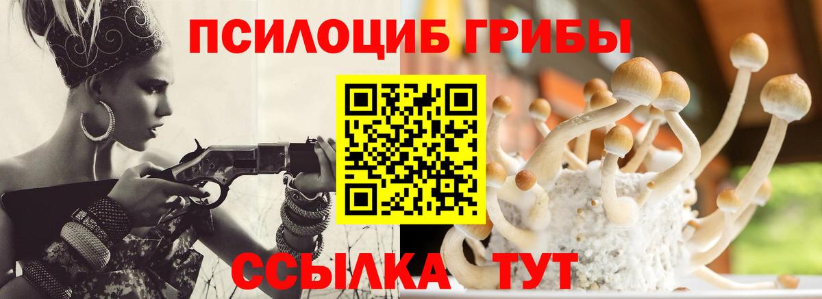 Галлюциногенные грибы MAGIC MUSHROOMS Солнечногорск